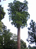 s_PICT0034_thumb.png